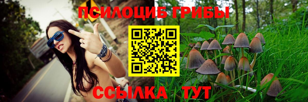 Можга  Псилоцибиновые грибы GOLDEN TEACHER  Вход с VPN  Псилоцибиновые грибы MAGIC MUSHROOMS 