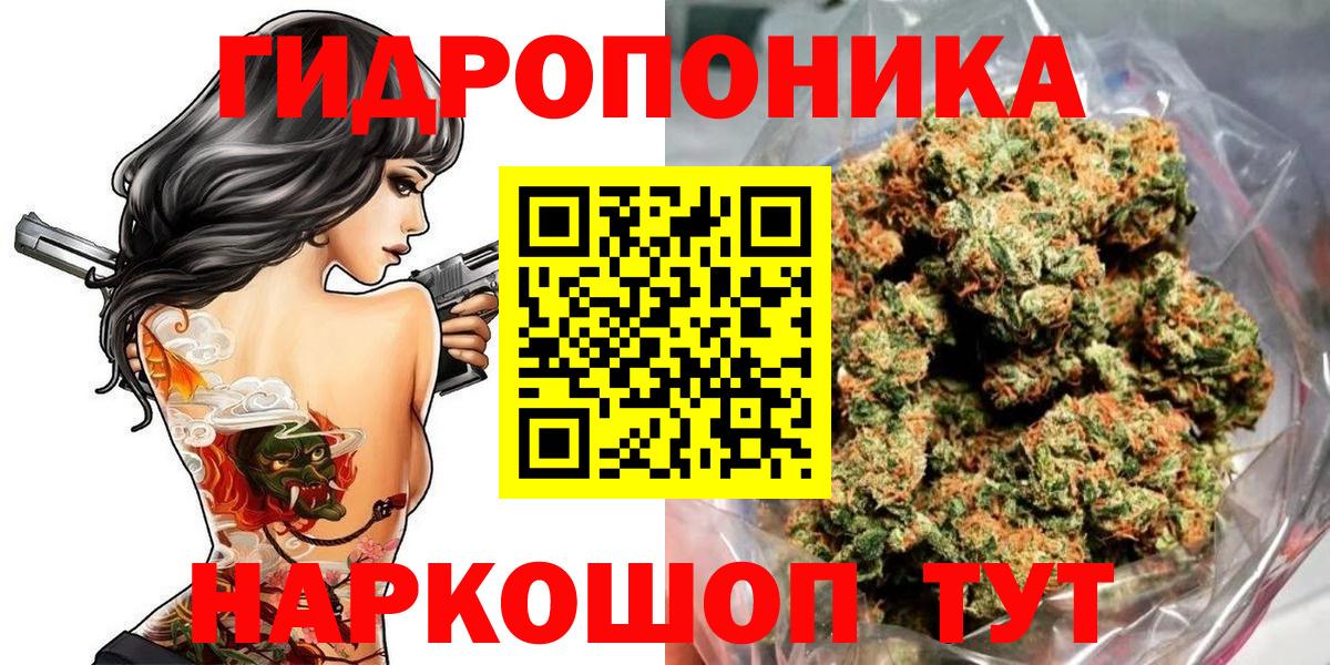 Шишки марихуана семена  Бошки Шишки семена  Можга  Бошки Шишки Amnesia  Вход с VPN 